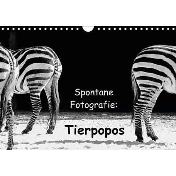 Spontane Fotografie: Tierpopos (Wandkalender 2016 DIN A4 quer), Melanie Münchow-Peth