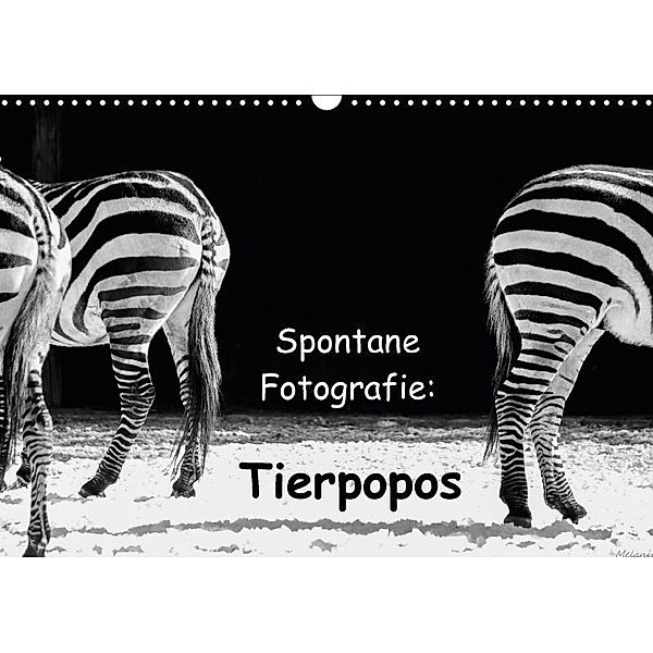 Spontane Fotografie: Tierpopos (Wandkalender 2017 DIN A3 quer), Melanie Münchow-Peth