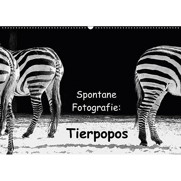 Spontane Fotografie: Tierpopos (Wandkalender 2017 DIN A2 quer), Melanie Münchow-Peth