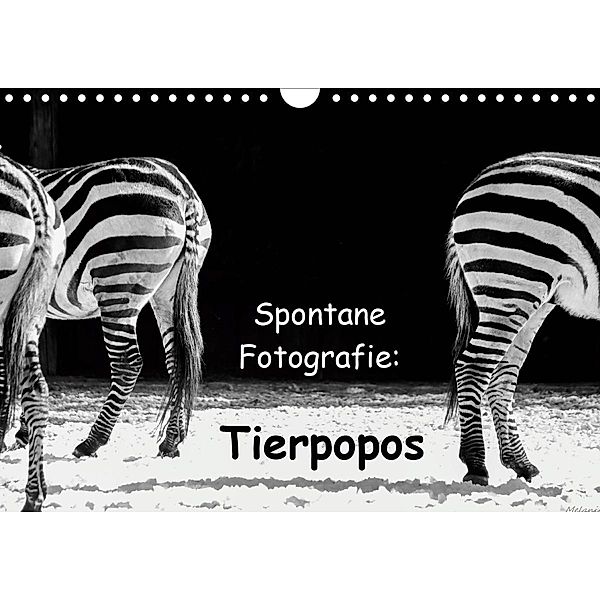 Spontane Fotografie: Tierpopos (Wandkalender 2020 DIN A4 quer), Melanie Münchow-Peth