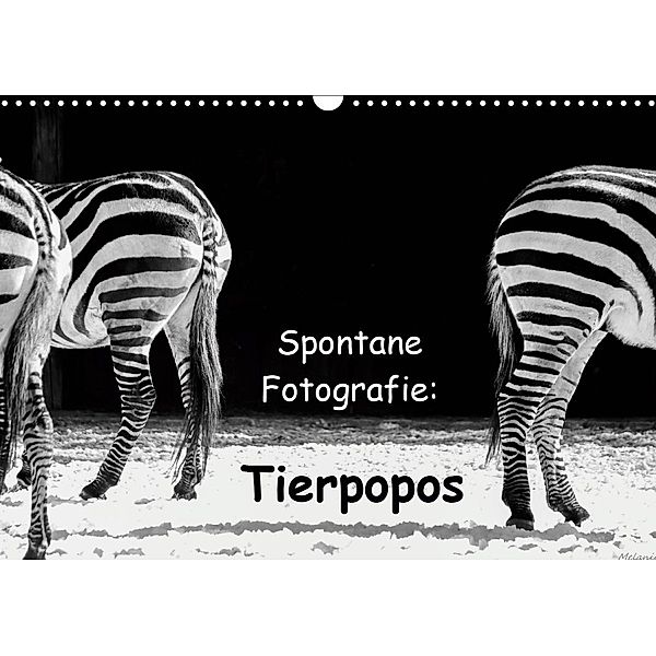 Spontane Fotografie: Tierpopos (Wandkalender 2020 DIN A3 quer), Melanie Münchow-Peth