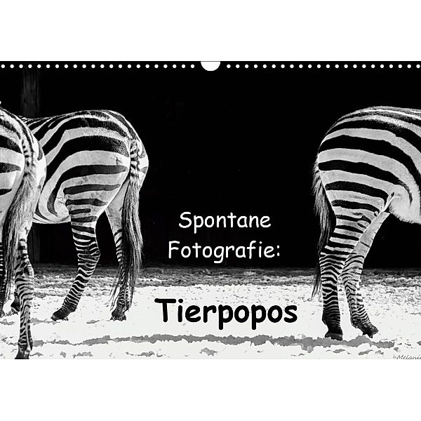 Spontane Fotografie: Tierpopos (Wandkalender 2021 DIN A3 quer), Melanie Münchow-Peth
