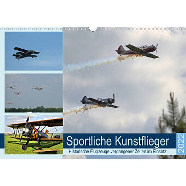 Sportliche Kunstflieger (Wandkalender 2022 DIN A3 quer), Günther Klünder