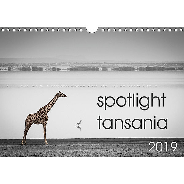 spotlight tansania (Wandkalender 2019 DIN A4 quer), Carsten Krueger