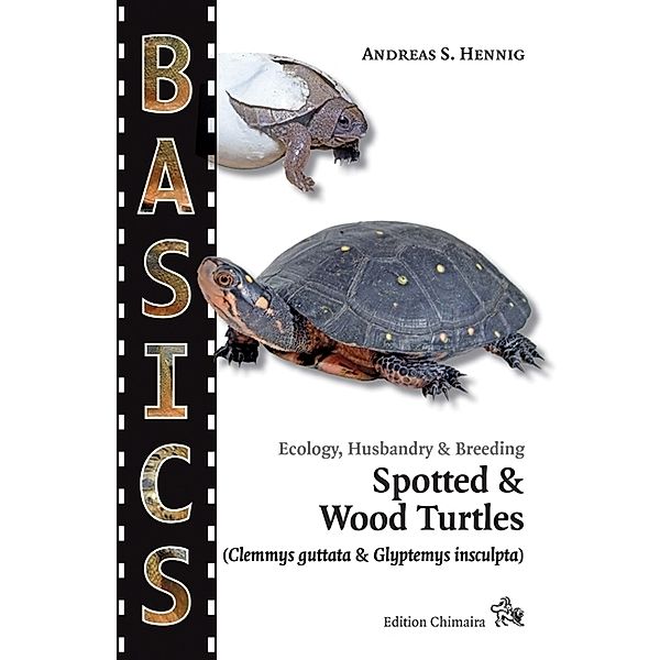Spotted Turtle and North American Wood Turtle, Andreas S. Hennig