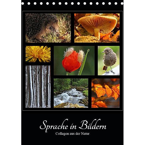 Sprache in Bildern - Collagen aus der Natur (Tischkalender 2021 DIN A5 hoch), Ingrid Michel
