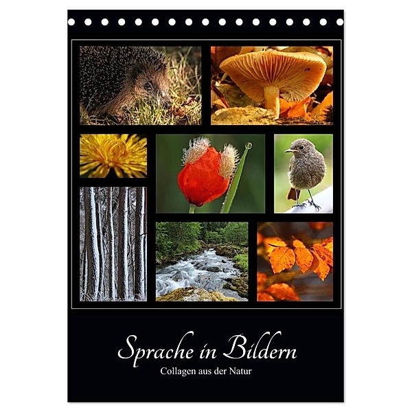 Sprache in Bildern - Collagen aus der Natur (Tischkalender 2024 DIN A5 hoch), CALVENDO Monatskalender, Ingrid Michel