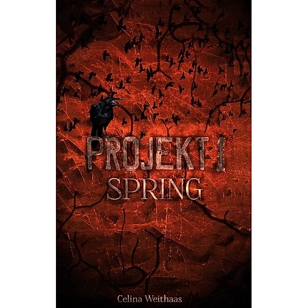 Spring - Projekt I, Celina Weithaas