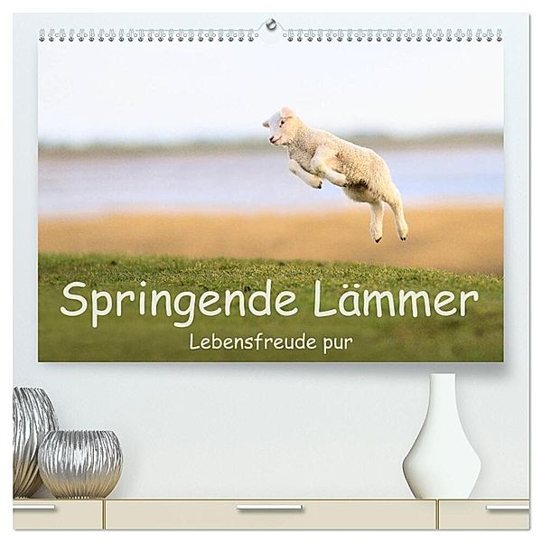 Springende Lämmer: Lebensfreude pur (hochwertiger Premium Wandkalender 2025 DIN A2 quer), Kunstdruck in Hochglanz, Calvendo, Elmar Weiß