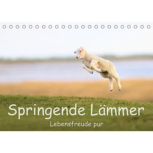 Springende Lämmer: Lebensfreude pur (Tischkalender 2023 DIN A5 quer), Elmar Weiß