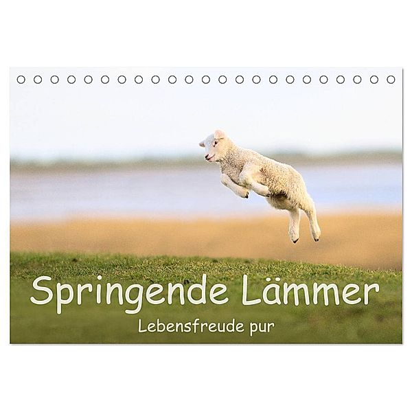 Springende Lämmer: Lebensfreude pur (Tischkalender 2024 DIN A5 quer), CALVENDO Monatskalender, Elmar Weiß