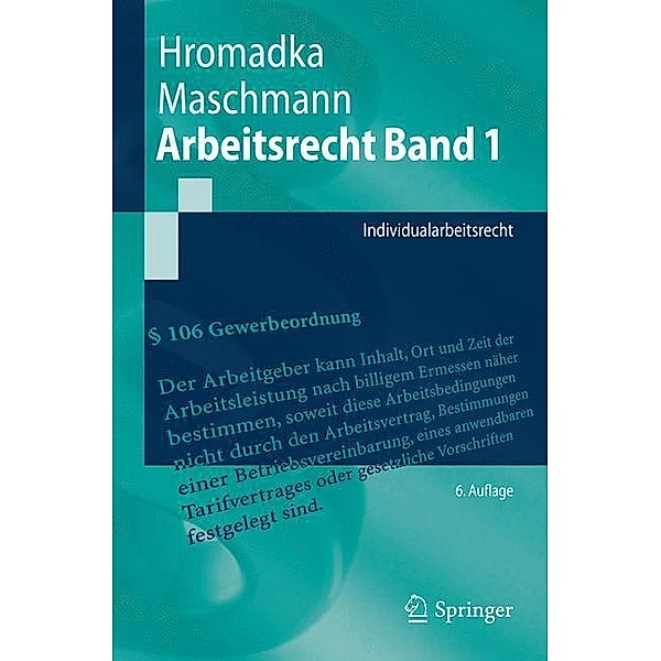 Springer-Lehrbuch / Individualarbeitsrecht, Wolfgang Hromadka, Frank Maschmann
