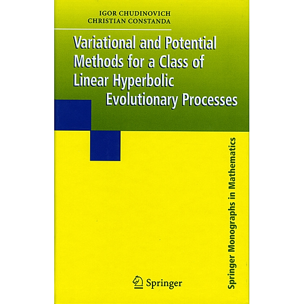 Springer Monographs in Mathematics / Variational and Potential Methods for a Class of Linear Hyperbolic Evolutionary Processes, Igor Chudinovich