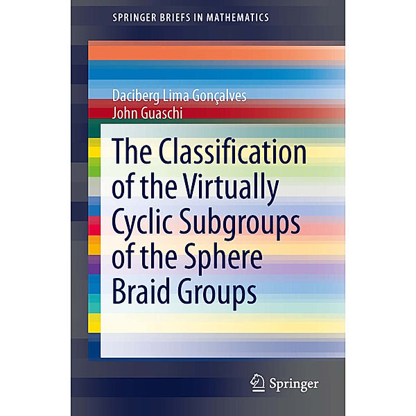 SpringerBriefs in Mathematics / The Classification of the Virtually Cyclic Subgroups of the Sphere Braid Groups, Daciberg Lima Goncalves, John Guaschi