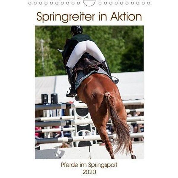 Springreiter in Aktion (Wandkalender 2020 DIN A4 hoch), Marion Sixt