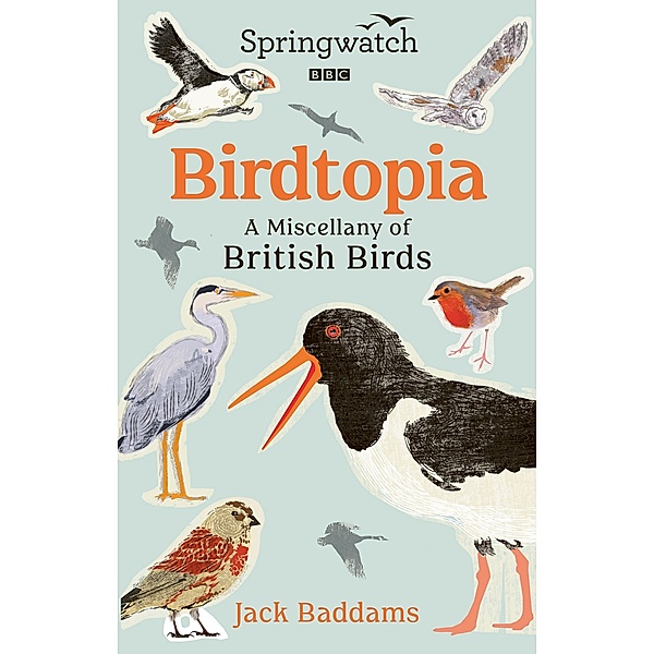 Springwatch: Birdtopia, Jack Baddams