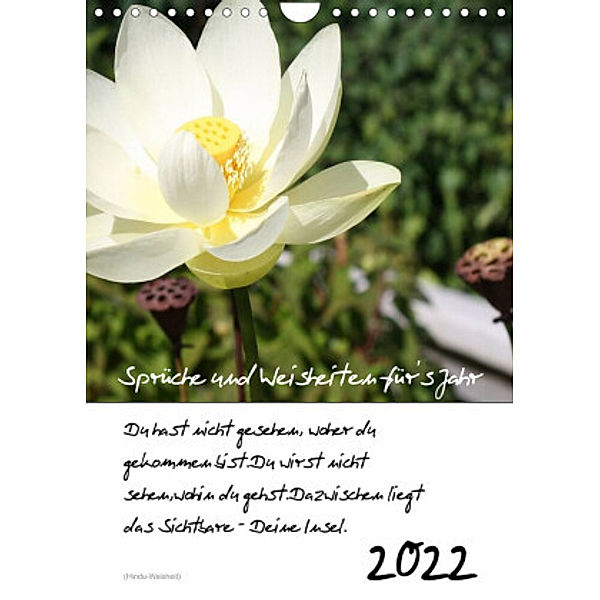 Sprüche und Weisheiten für´ s Jahr (Wandkalender 2022 DIN A4 hoch), Lydia Weih