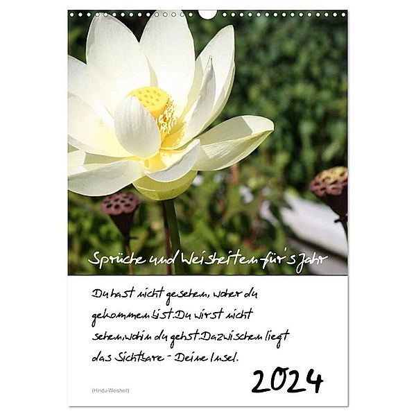Sprüche und Weisheiten für´ s Jahr (Wandkalender 2024 DIN A3 hoch), CALVENDO Monatskalender, Lydia Weih