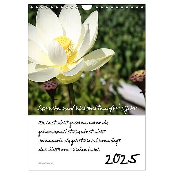 Sprüche und Weisheiten für´ s Jahr (Wandkalender 2025 DIN A4 hoch), CALVENDO Monatskalender, Calvendo, Lydia Weih
