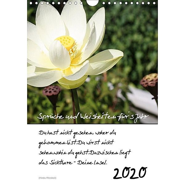 Sprüche und Weisheiten für's Jahr (Wandkalender 2020 DIN A4 hoch), Lydia Weih