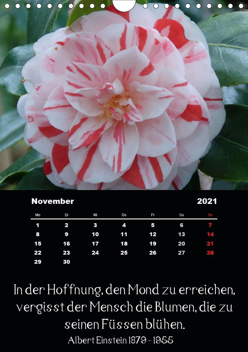 Spruche Und Zitate Beruhmter Personen Uber Blumen Und Natur Wandkalender 2021 Din A4 Hoch Kalender Bestellen