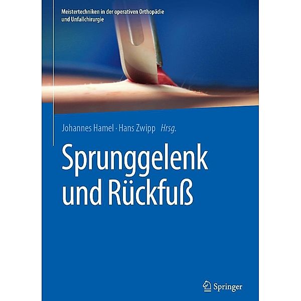 Sprunggelenk und Rückfuss / Meistertechniken in der operativen Orthopädie und Unfallchirurgie