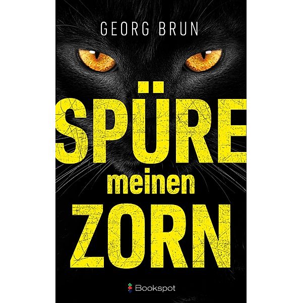 Spüre meinen Zorn / Nathan Weiß ermittelt. Bd.1, Georg Brun