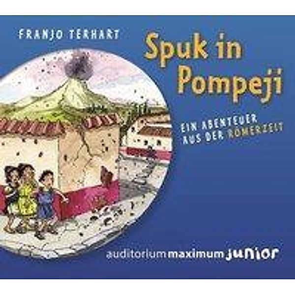 Spuk in Pompeji, 1 Audio-CD, Franjo Terhart