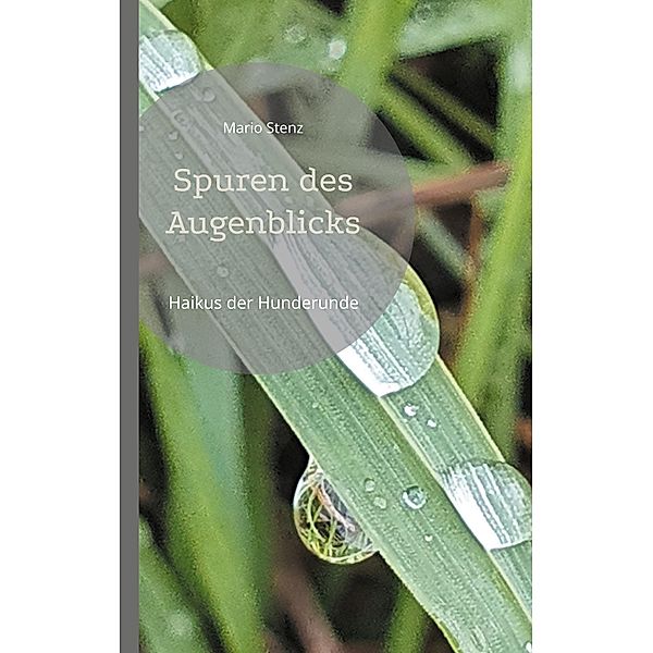 Spuren des Augenblicks, Mario Stenz