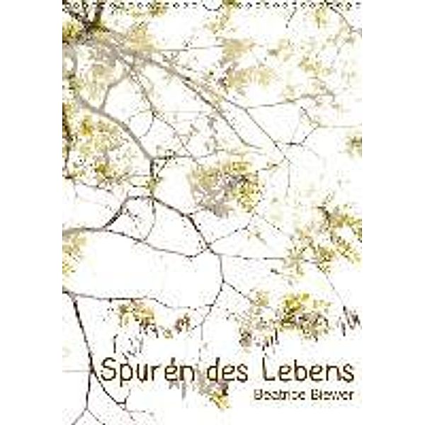 Spuren des Lebens (Wandkalender 2015 DIN A3 hoch), Beatrice Biewer