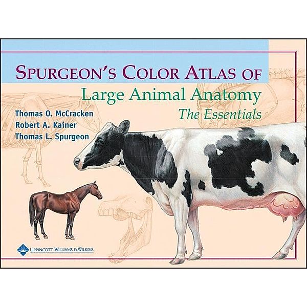 Spurgeon's Color Atlas of Large Animal Anatomy, Thomas O. McCracken, Robert A. Kainer, Thomas L. Spurgeon