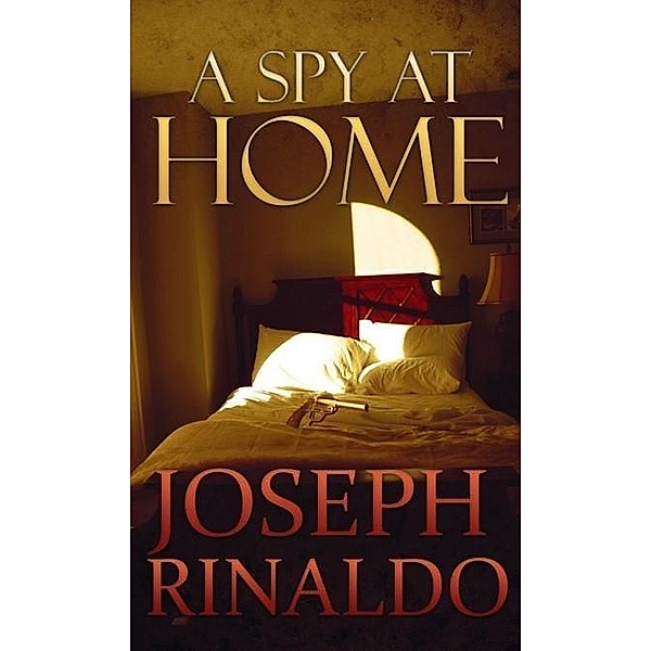 Spy At Home / Joseph Rinaldo, Joseph Rinaldo