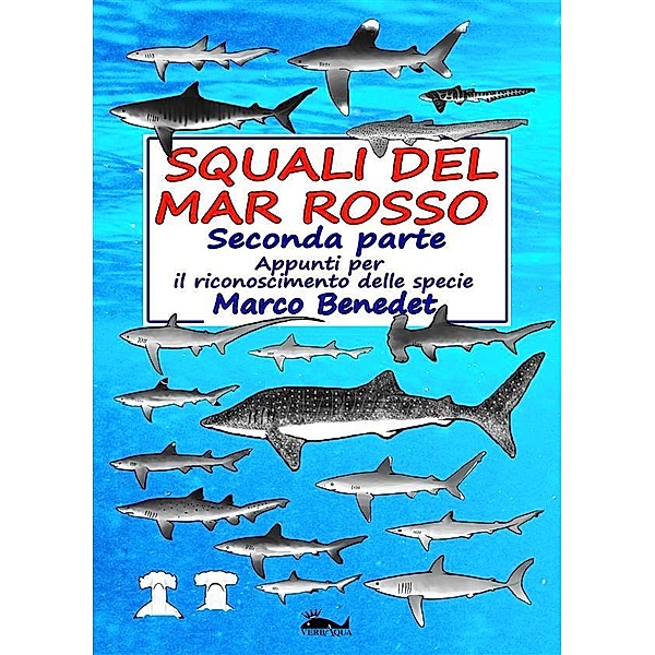 Squali del Mar Rosso 2a parte - Le specie, Marco Benedet