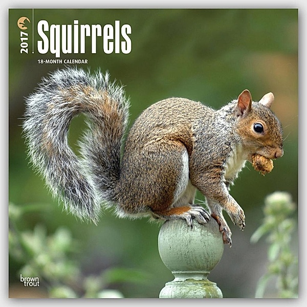 Squirrels 2017, Inc Browntrout Publishers