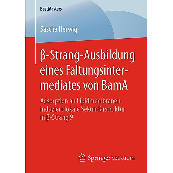 ss-Strang-Ausbildung eines Faltungsintermediates von BamA / BestMasters, Sascha Herwig