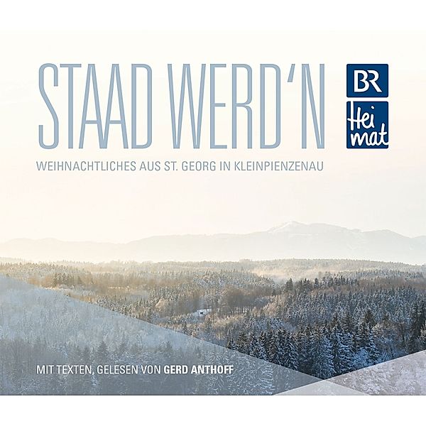 Staad Werd'N, Diverse Interpreten