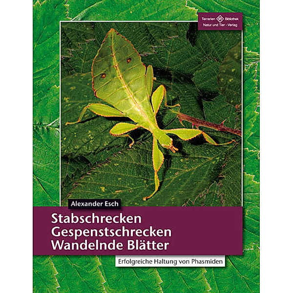 Stabschrecken, Gespenstschrecken, Wandelnde Blätter, Alexander Esch