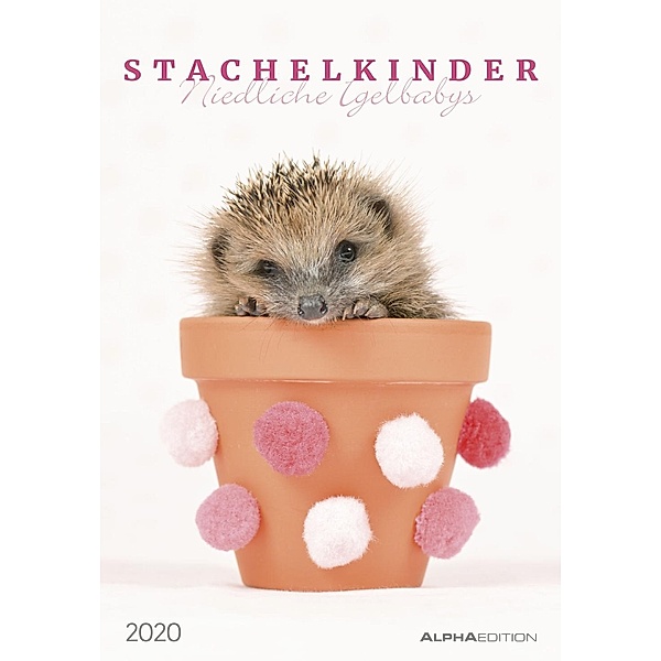 Stachelkinder - Niedliche Igelbabys 2020, ALPHA EDITION