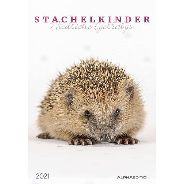 Stachelkinder - Niedliche Igelbabys 2021