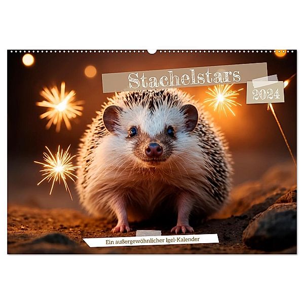 Stachelstars (Wandkalender 2024 DIN A2 quer), CALVENDO Monatskalender, Calvendo, Heidi Spiegler