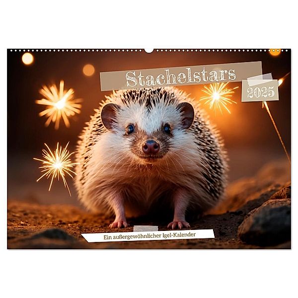 Stachelstars (Wandkalender 2025 DIN A2 quer), CALVENDO Monatskalender, Calvendo, Heidi Spiegler