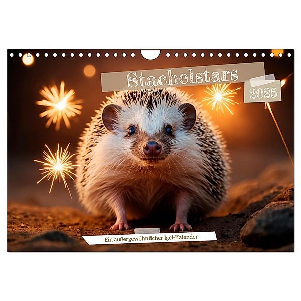 Stachelstars (Wandkalender 2025 DIN A4 quer), CALVENDO Monatskalender, Calvendo, Heidi Spiegler