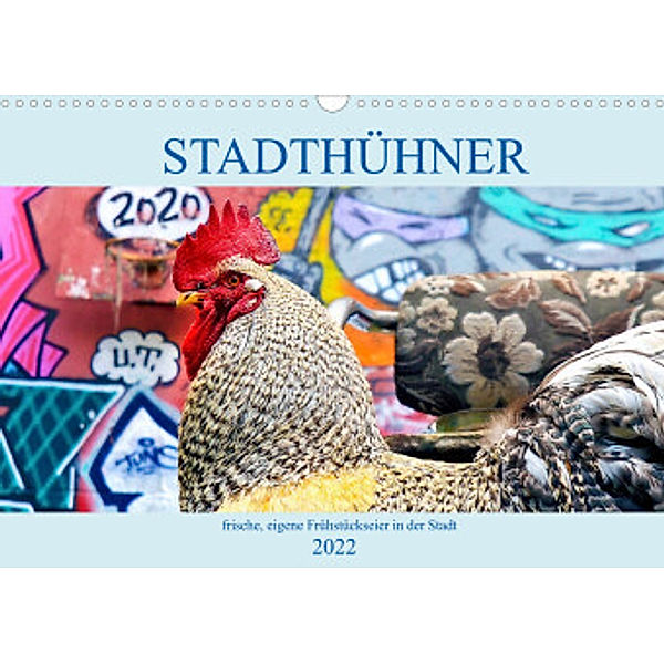 Stadthühner (Wandkalender 2022 DIN A3 quer), Eder/Busch