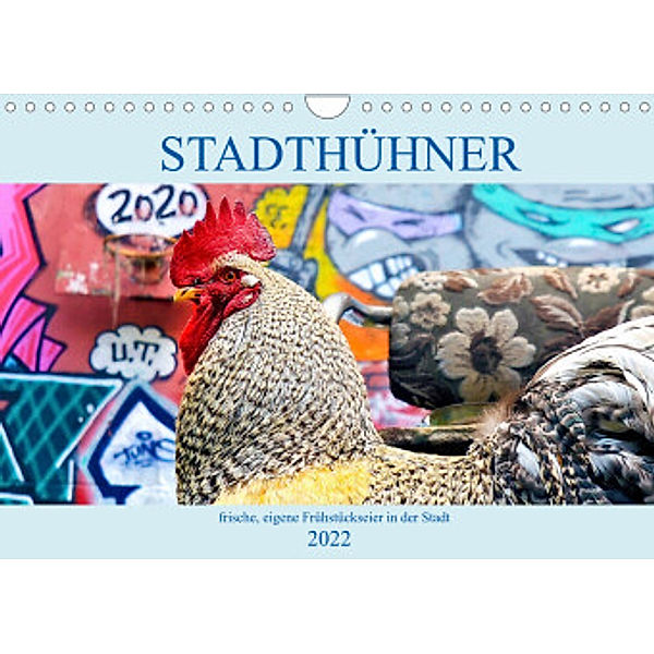 Stadthühner (Wandkalender 2022 DIN A4 quer), Eder/Busch