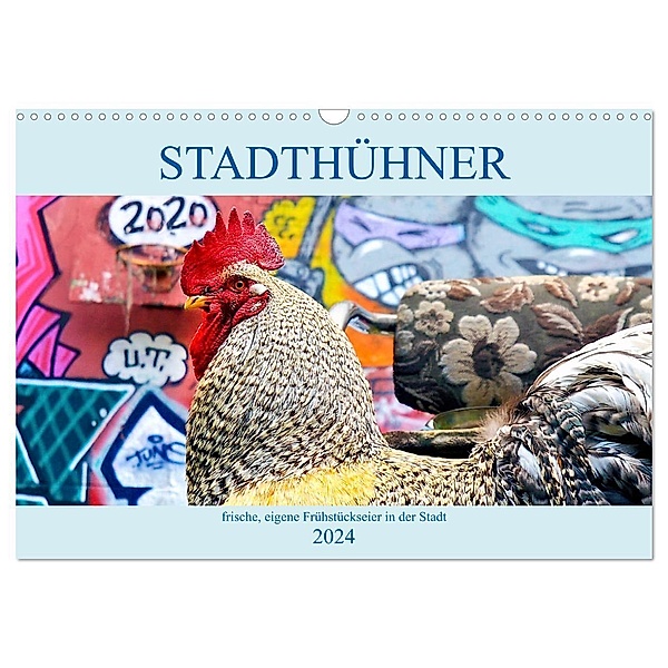 Stadthühner (Wandkalender 2024 DIN A3 quer), CALVENDO Monatskalender, Eder/Busch