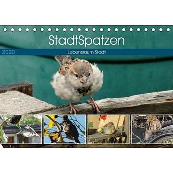 StadtSpatzen (Tischkalender 2020 DIN A5 quer), Linda Schilling