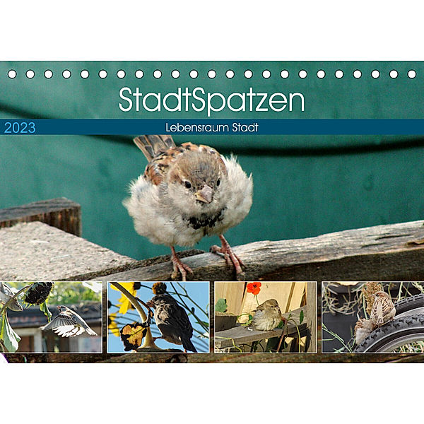 StadtSpatzen (Tischkalender 2023 DIN A5 quer), Linda Schilling