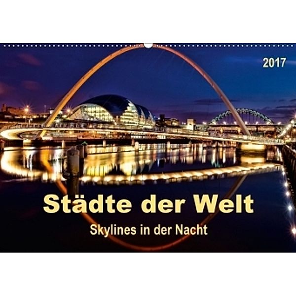 Städte der Welt - Skylines in der Nacht (Wandkalender 2017 DIN A2 quer), Peter Roder