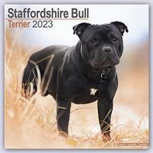 Staffordshire Bull Terrier - Staffordshire Bull Terrier 2023 - 16-Monatskalender, Avonside Publishing Ltd