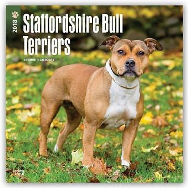 Staffordshire Bull Terriers - Bull Terrier 2018 - 18-Monatskalender mit freier DogDays-App, BrownTrout Publisher
